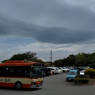 駐車場は満車でした。
GW始まった！って感じですね。