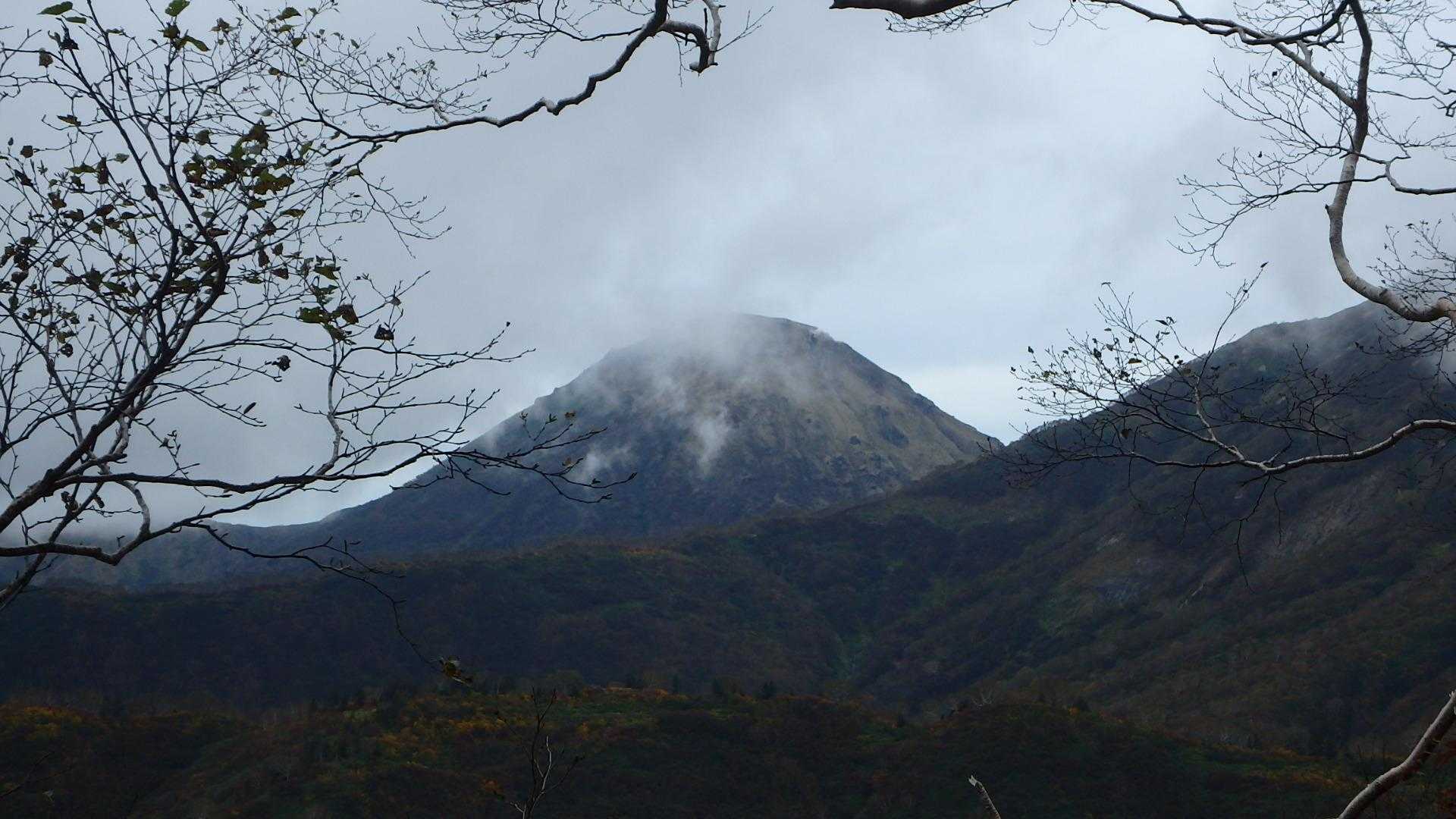 火打山 往復コース | 天狗の庭の湿原と花、CNNも選んだ「天上の楽園」への道の写真