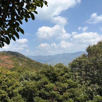 岩屋山山頂にて
右の方に宝満山