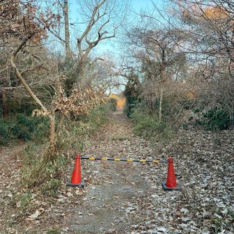 山頂付近はフェンスに囲まれて進入禁止🚧
円海山山頂🔺（100mルールでゲット）