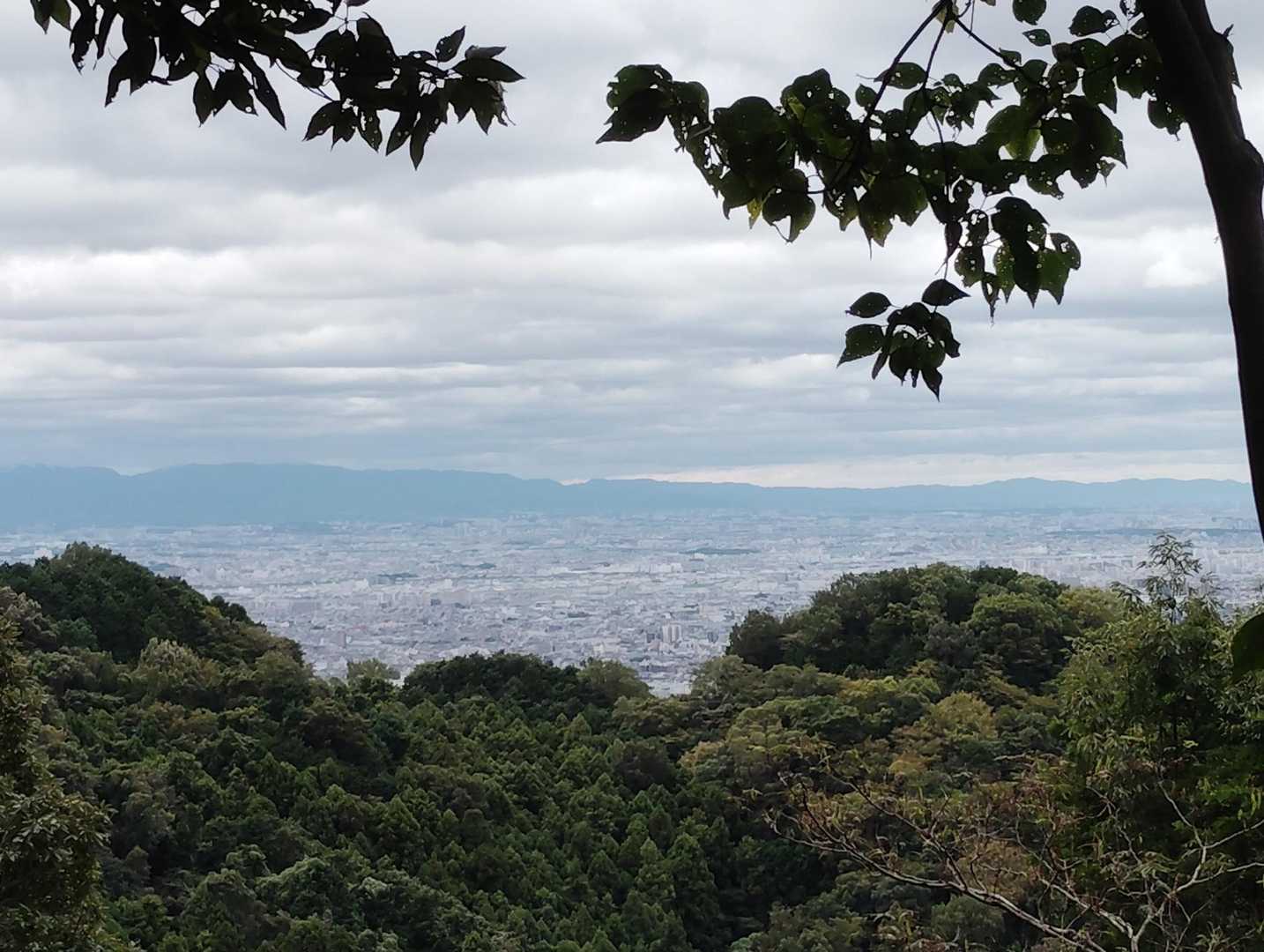 タタラ山-生駒山 往復コースの写真