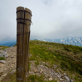 水重たっ💦やっと北股岳山頂