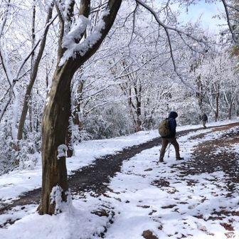 林道に出ました。真っ白