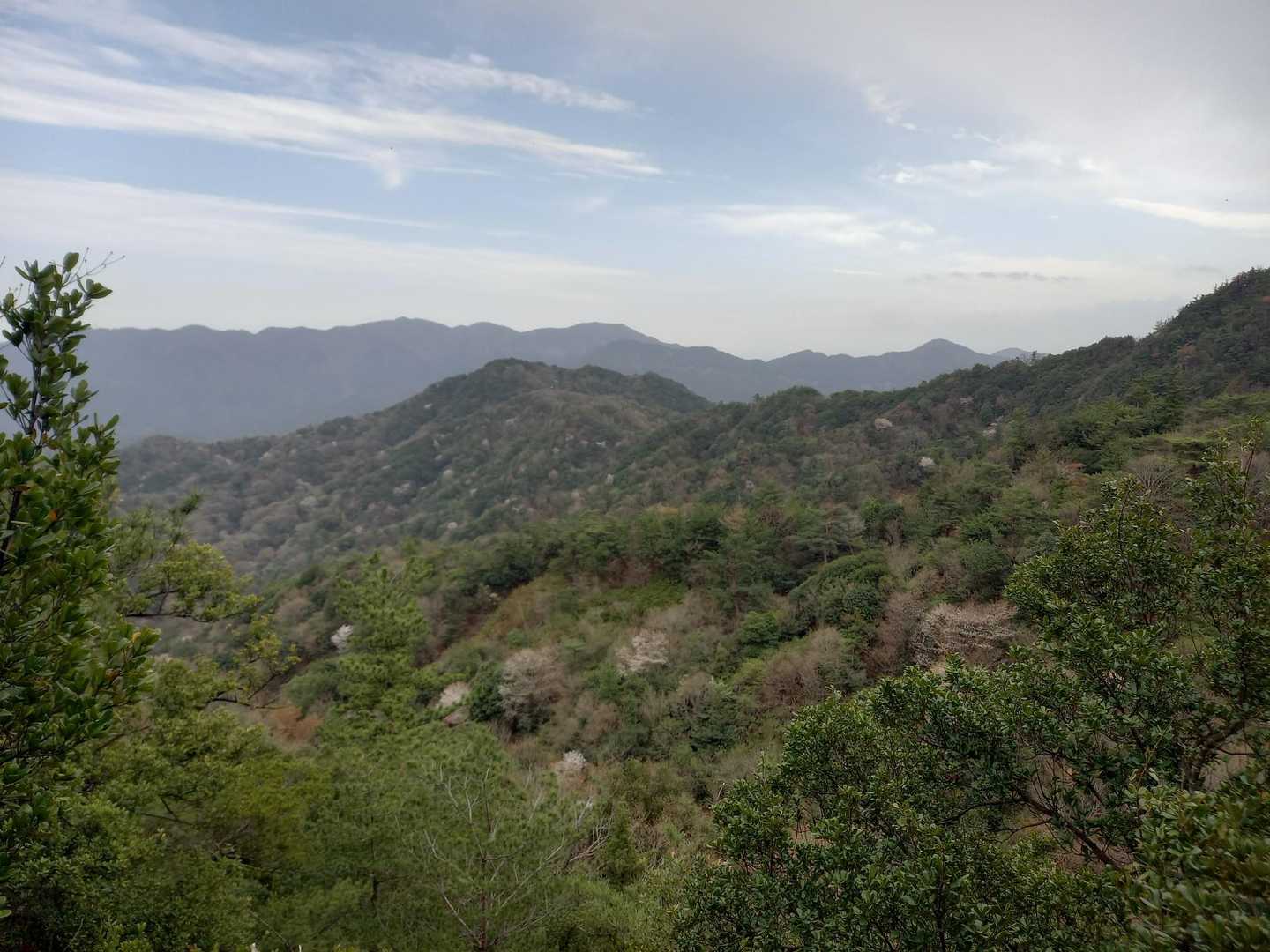 本宮山-笠ヶ峰 往復コースの写真