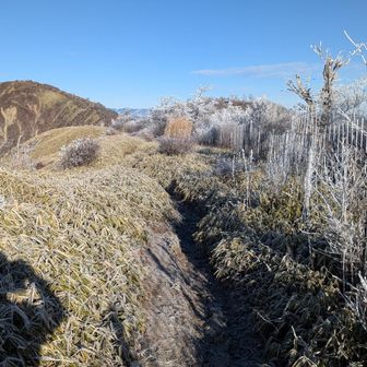蛭ヶ岳山荘が見える