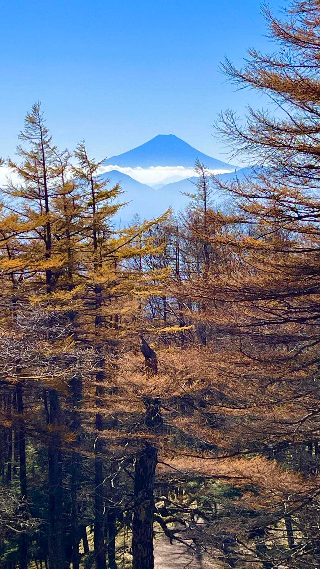 鴨沢バス停-小袖登山口-堂所-七ツ石山-五十人平野営場管理 縦走コースの写真