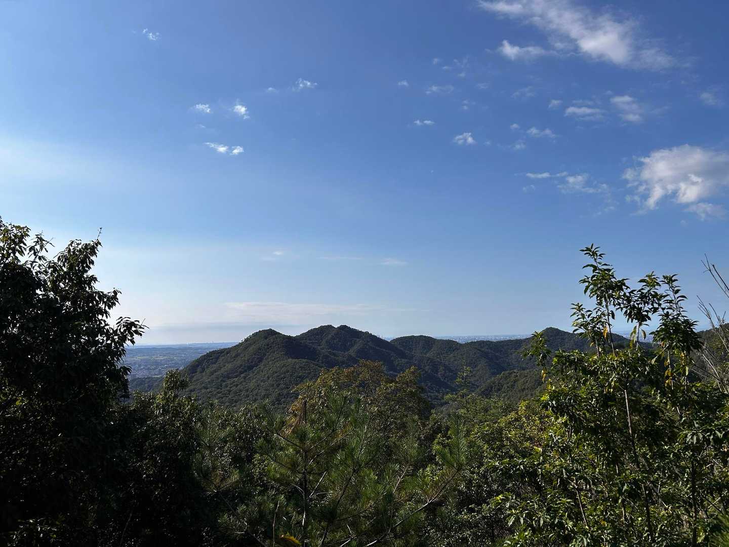 金山 往復コースの写真