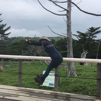 つっつん