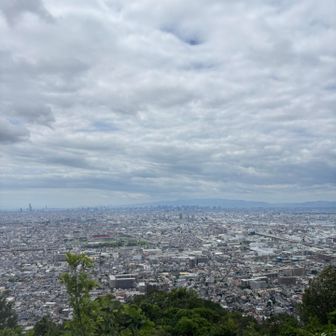 遠くに六甲山が見えた！