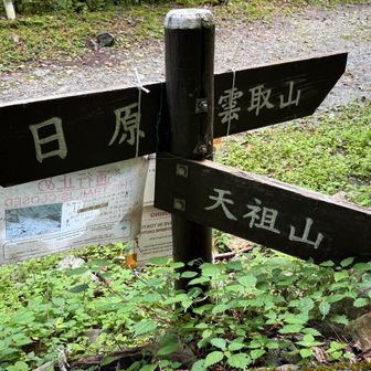登山口に降りた