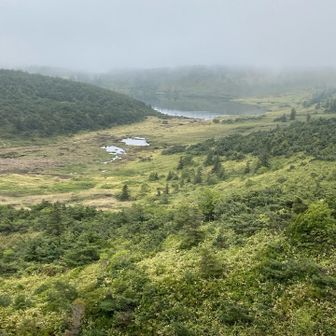 魔女の瞳が🧙‍♀️かすかに
でなく　これは鎌沼