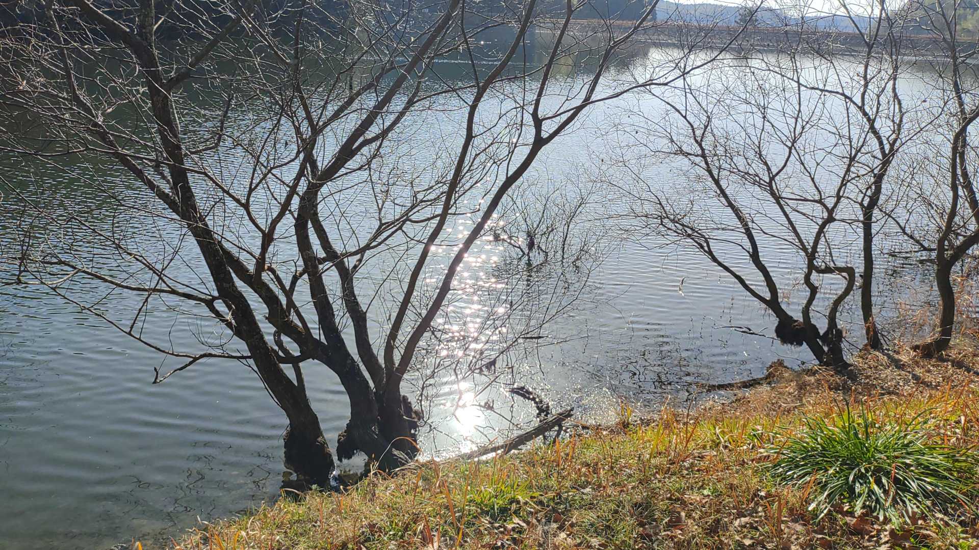 天気も良く、水辺の光がきれいでした