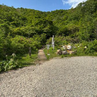 下山しました。
暑さにやられて脱水気味なので