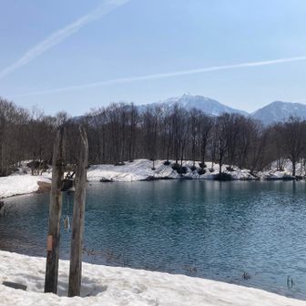 白池から雨飾山をのぞむ。