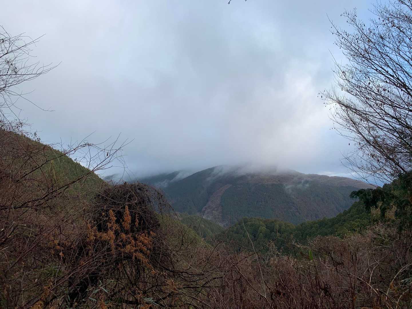 葛城山の山頂は雲の中☁️でした。
