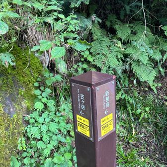 1時間半程度　笠新道入口到着
横に水場あり　
2Lのウォーターキャリー✖️2個補充　
一人一個ずつ携帯