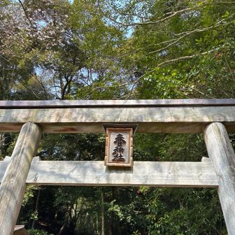 春日神社にも立ち寄ります。