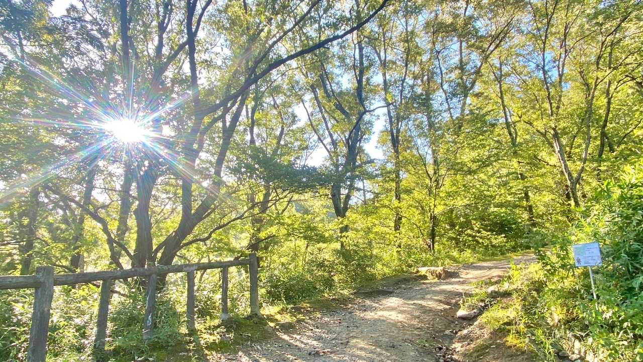 ☀️が眩しい
