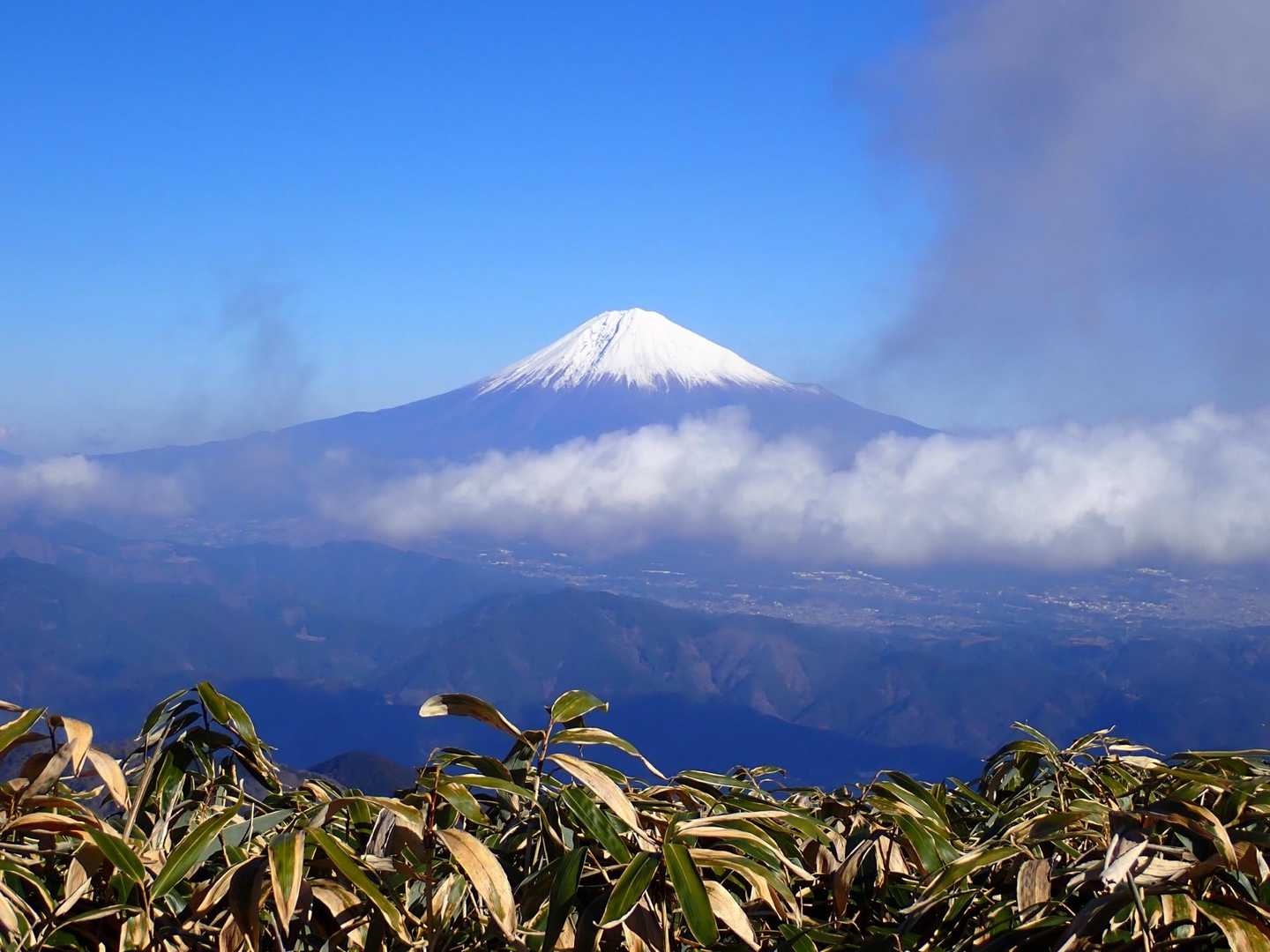 最高な日に来た👍