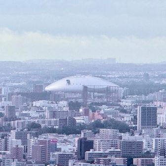 札幌ドーム拡大してみた