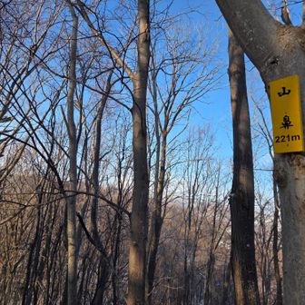センターに雪を被った砥石山、樹が邪魔
少しズレても別の樹が邪魔する