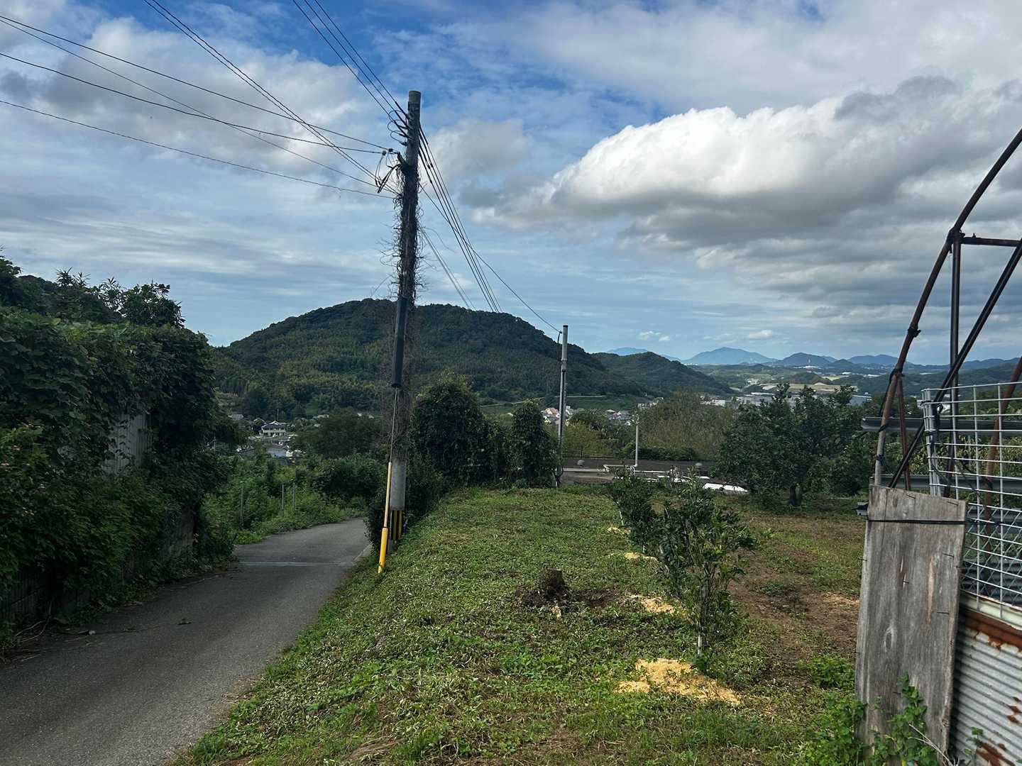 曇り予報も良い天気☀️