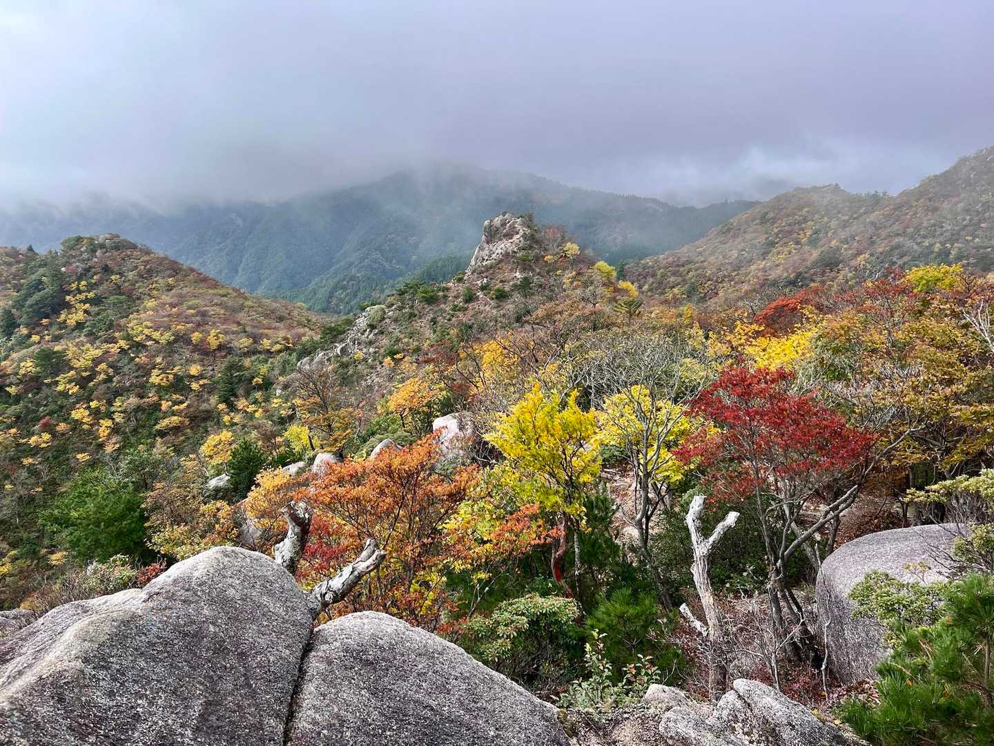 仙ヶ岳 往復コースの写真