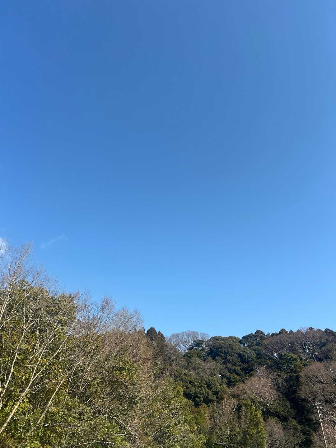ブルースカイ🩵いただきました🙌

ってか🌀
間違えて大貝戸登山口に行ってしまった😣
仕切り直して、孫太尾根の登山口へ
のつもりだったけど、青川公園の駐車場🅿️（無料👍）へ

でも、Googleマップで見たら、〝山小屋〟さんの駐車場だと、もっとずっとラクちんに孫太尾根へ行けます（協力金500円）

今度来る時は、こっちに停めてカフェも行きたい❣️今日はお休みでした😢