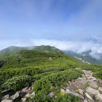 雲の下の景色を想像しながら山頂へと進んでいました