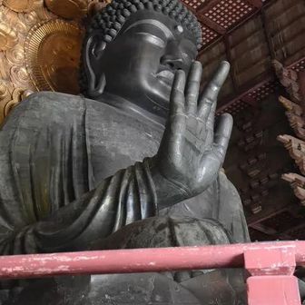 井上雅斗