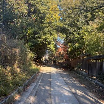 日があると暑いけどやっぱ寒い
でもこれ以上に寒くなるのか、、、こわ