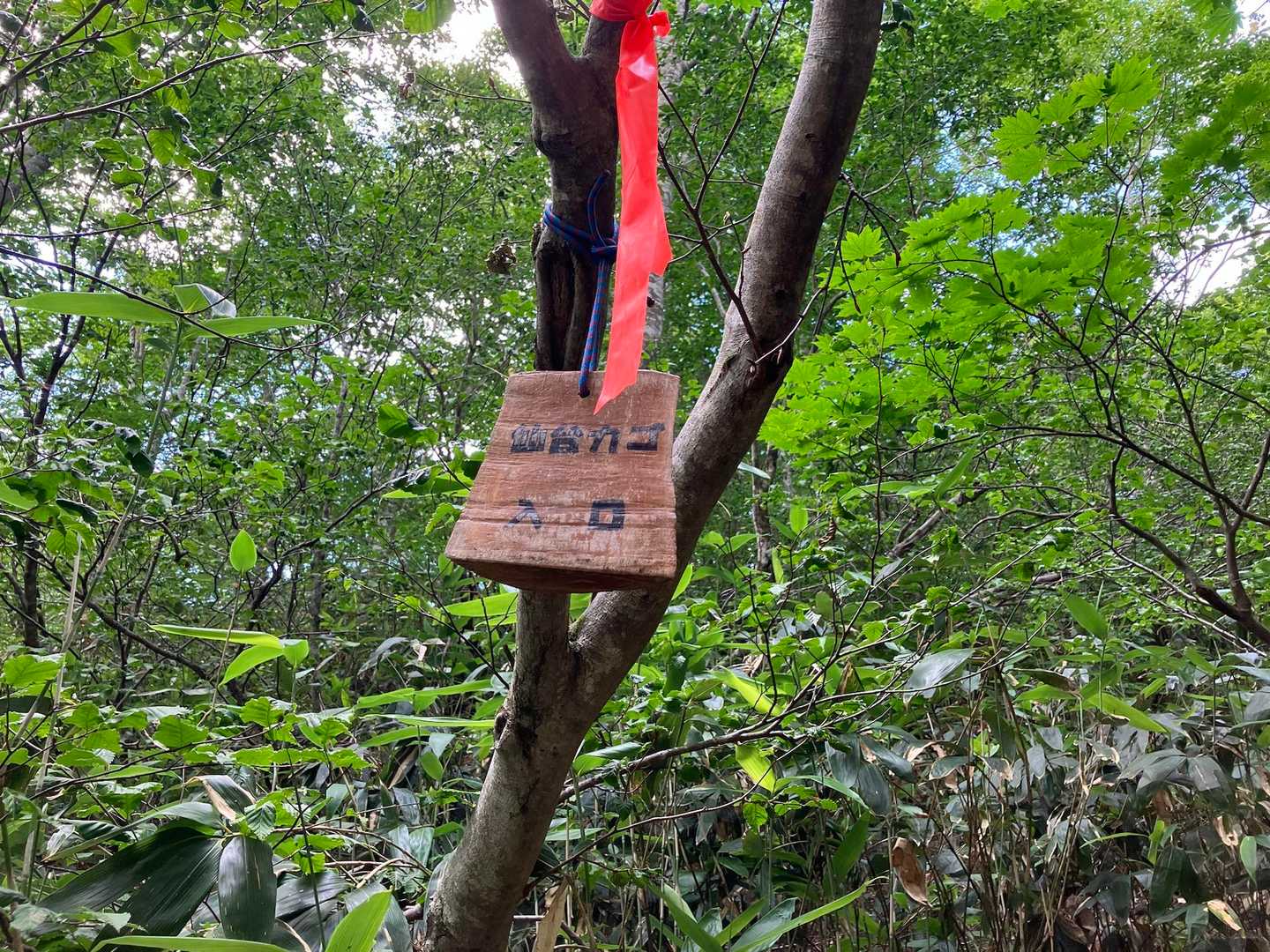ここが仙台カゴ入口でした🈁😅