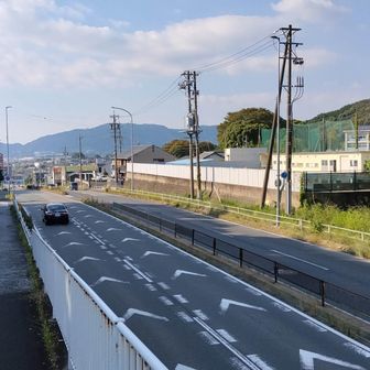 国道247号線
連番の246号線（青山通り、厚木街道）を思い出すけど、繋がってはいないんですね