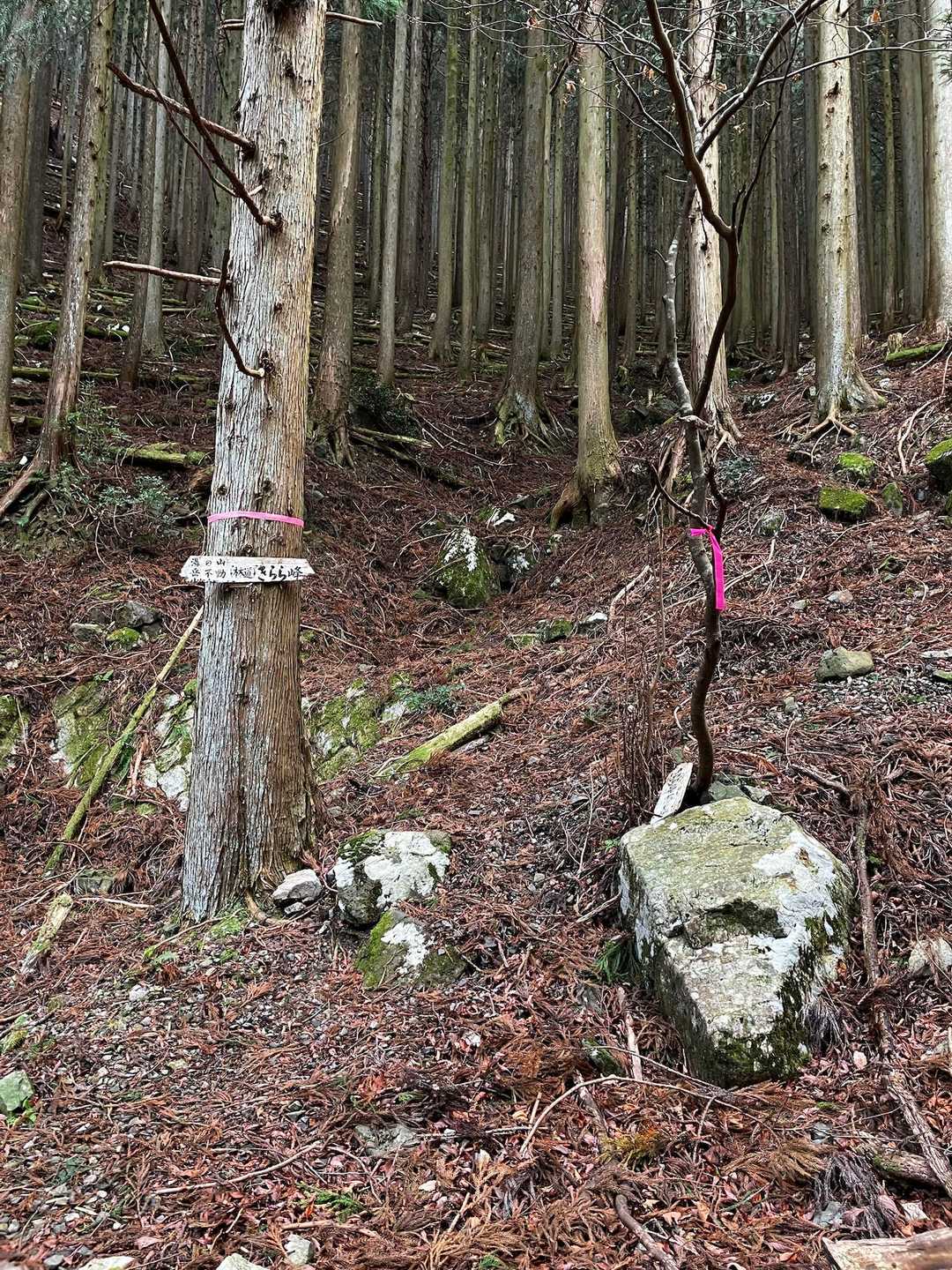 雲母峰 周回コースの写真
