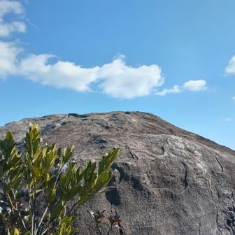 頂上の下にあるこの大岩には登らなかった。いや登れませんでした。手掛かりないし足場ないし。