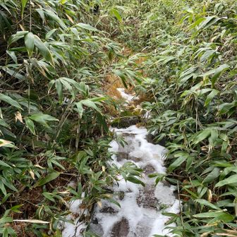 雪も残ってた