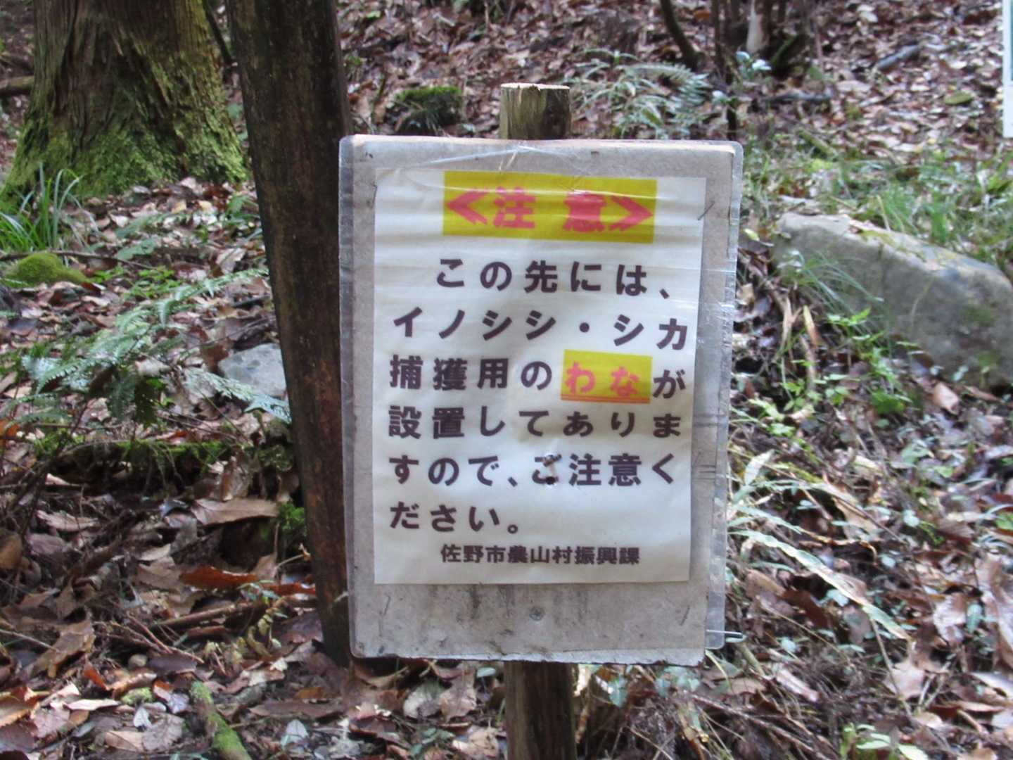 下山後に知った😅