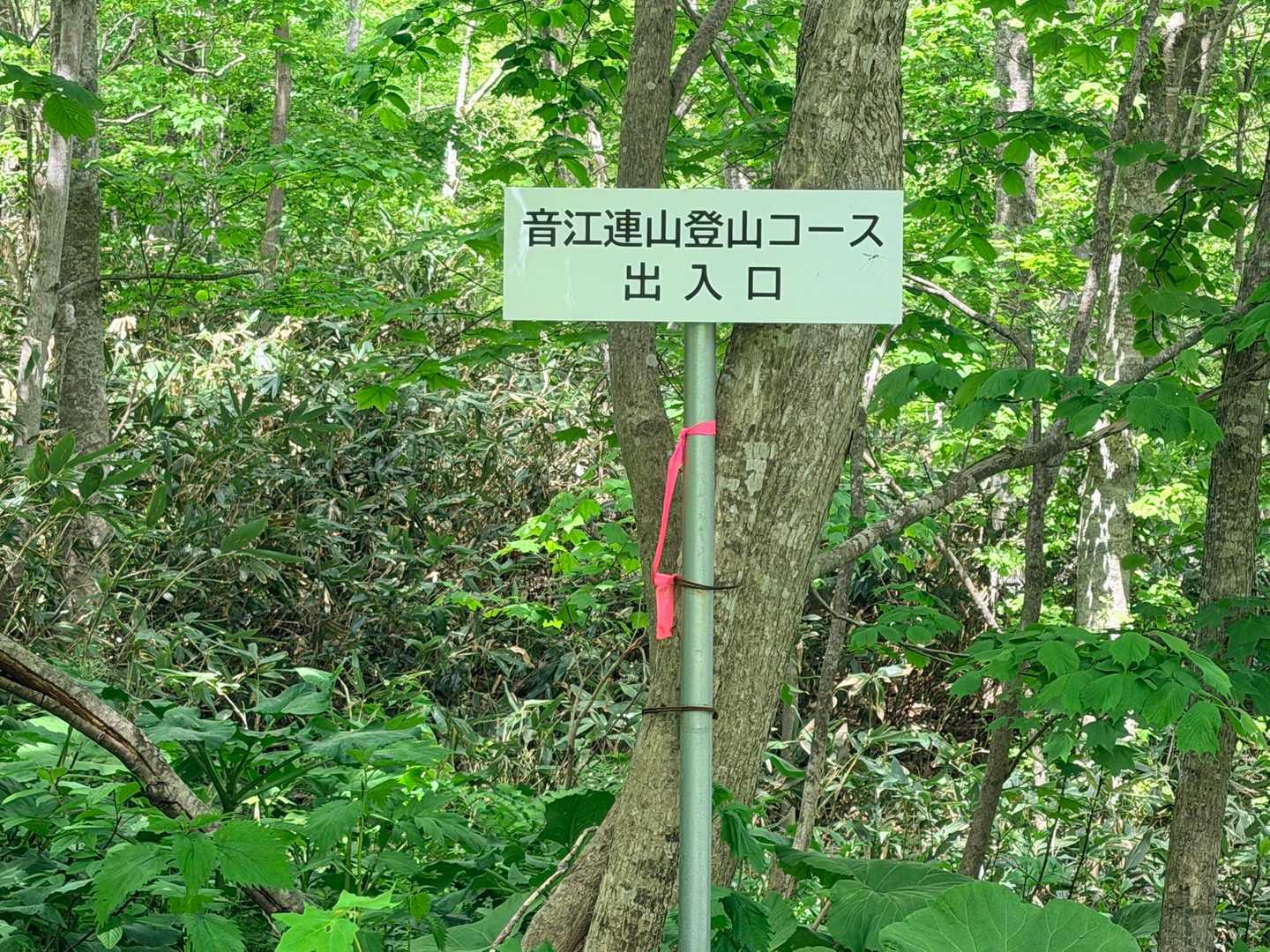 無事下山🙌🏻