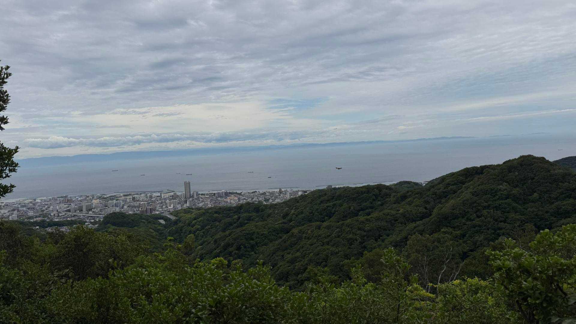 須磨アルプス | ジュラシックな迫力の岩尾根「馬の背」。きらめく海と明石海峡大橋の写真