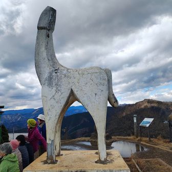 うま。そういえば来年の干支だ。帰ってから気づく^^;