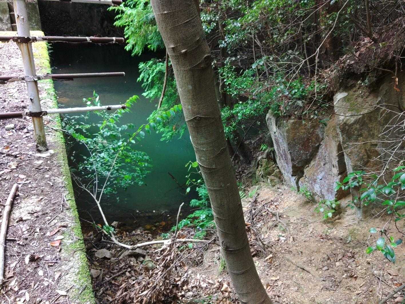 次の堰堤は地蔵谷道に入りそびれたけど明瞭な巻道があったので超えたらギョギョッ？
水際をへつるが、その向こうに巨大な堰堤が立ちはだかり、又もやギョギョギョ。