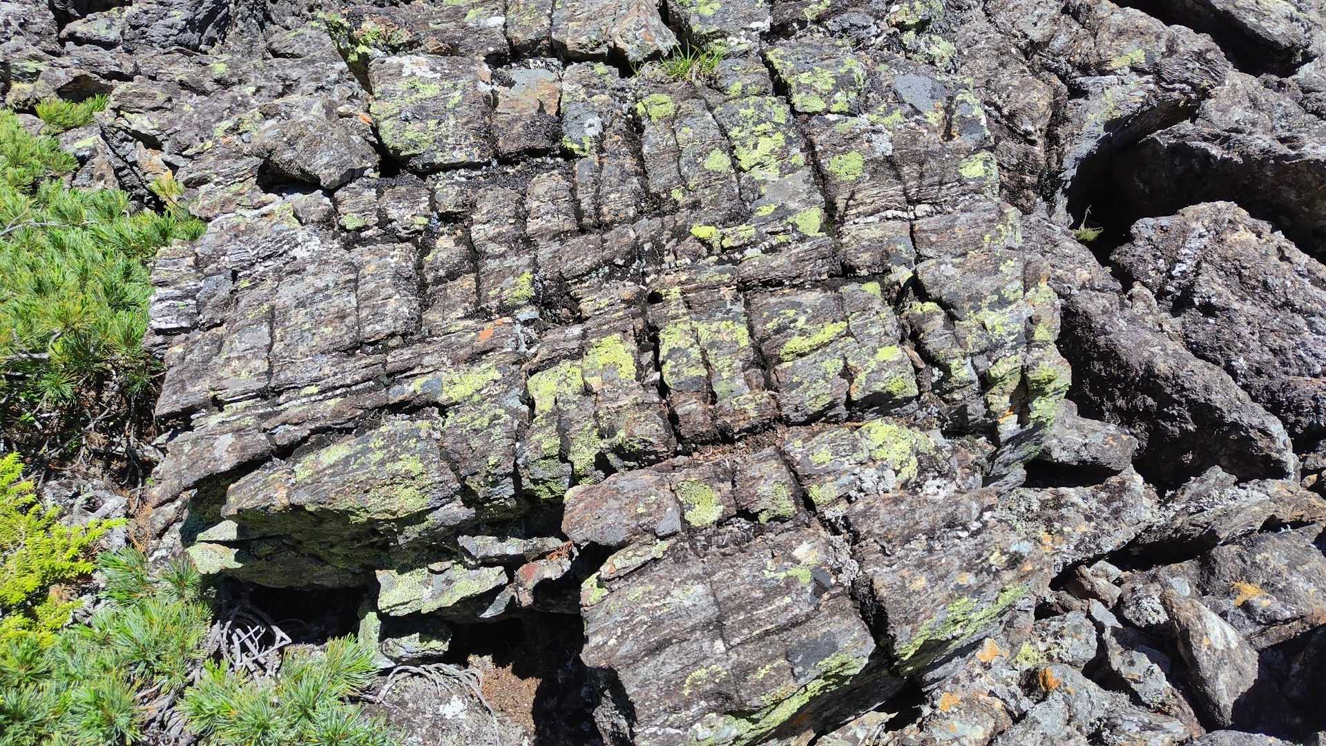 縦じま模様が沢山。
凍結破砕作用を受けて割れそこなったのかなぁ。