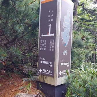 塩見新道分岐。