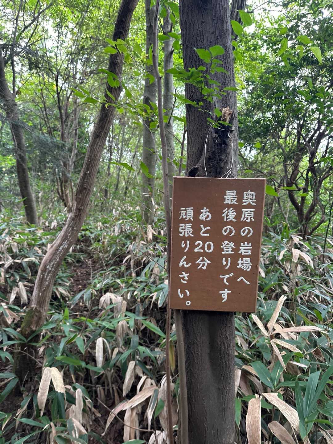 窓ヶ山西峰-仏峠-向山 周回コースの写真