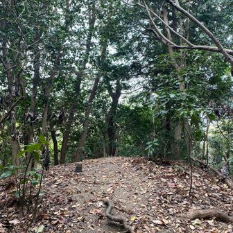 大沢山山頂⛰️
この手前の傾斜は今日イチ。
全体的に傾斜の多い三浦の中でも、かなりの傾斜だった。