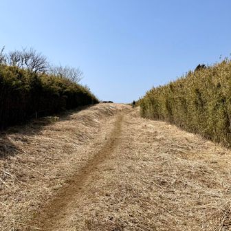 とっても歩きやすいよ😆