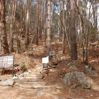 矢立石駐車場付近
ここまでが急登