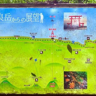 多良岳（佐賀・983m）| 登山ルート・天気 | YAMAP / ヤマップ