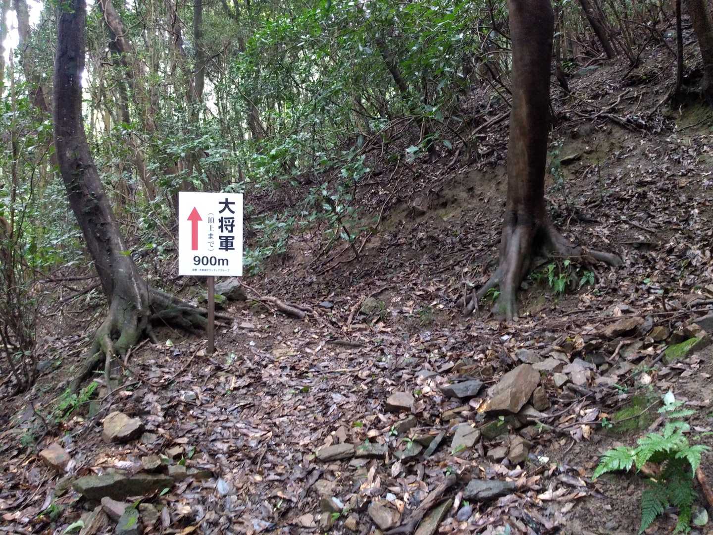 残り距離を示す道標が、100mおきにあります。