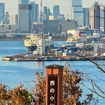 東京タワーも見えます🗼